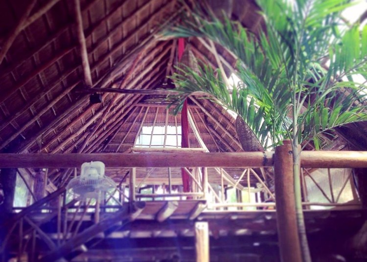 11141281_10152904589267687_9176253577808003370_n