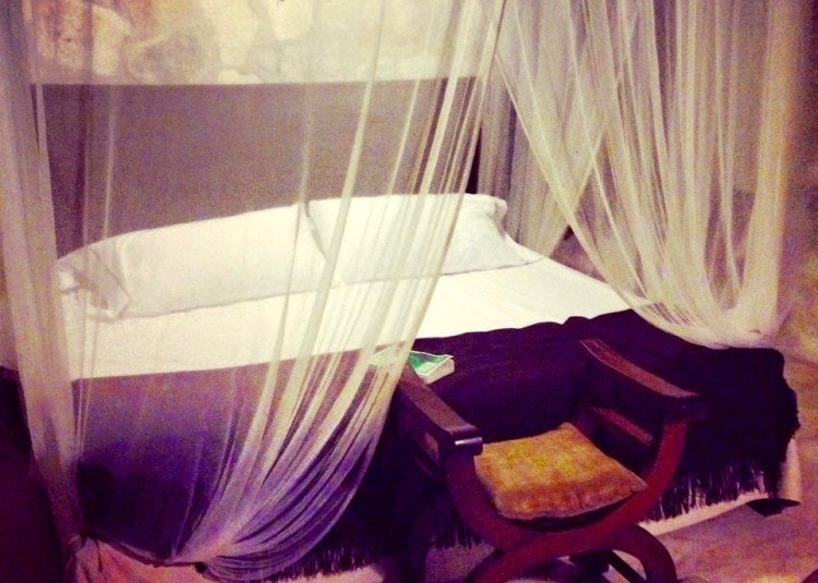 11178360_10152904550817687_3526916188124751421_n