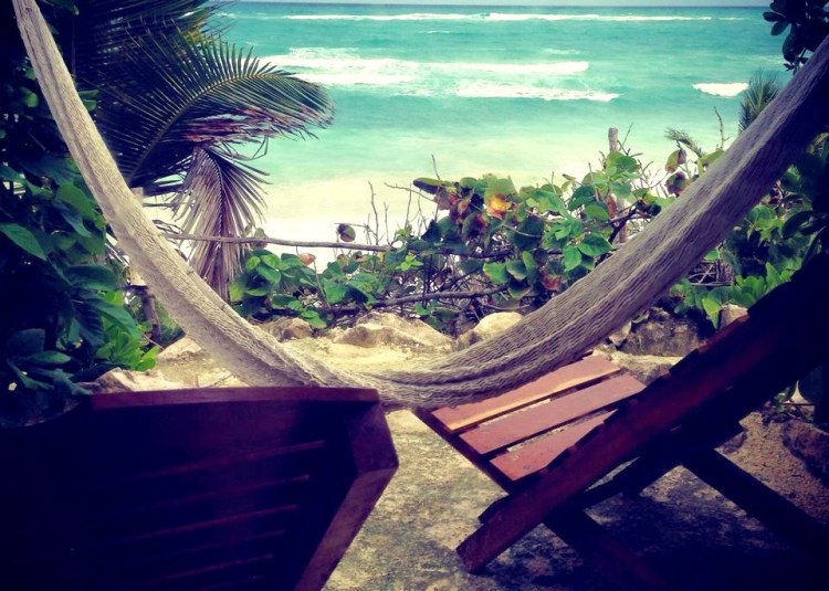 11745694_10152904553182687_7075644158042405012_n