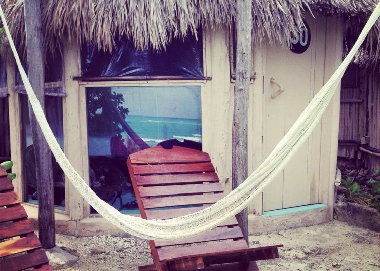 11750712_10152904553132687_5240584087447717120_n