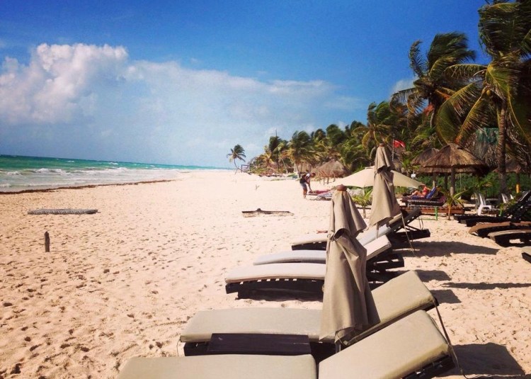 11755079_10152904552082687_5839171723301434077_n