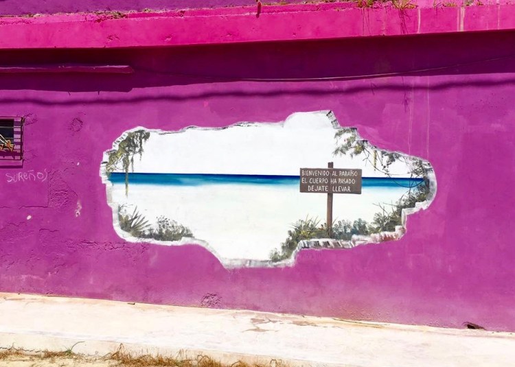 12985470_10153419182872687_2720858381067143460_n