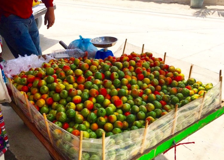 13007264_10153419183607687_1881880599159936902_n