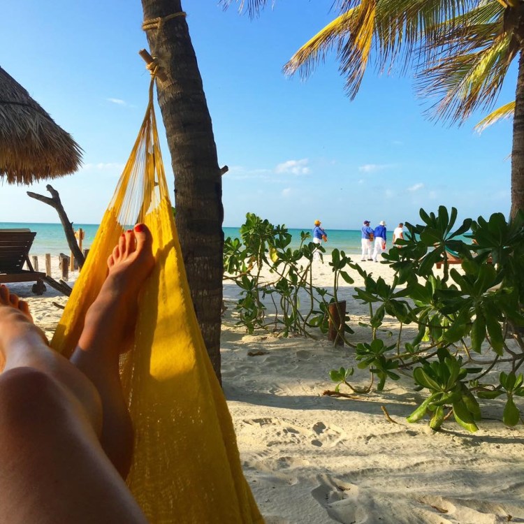 13051624_10153419202717687_1632297204407926416_n