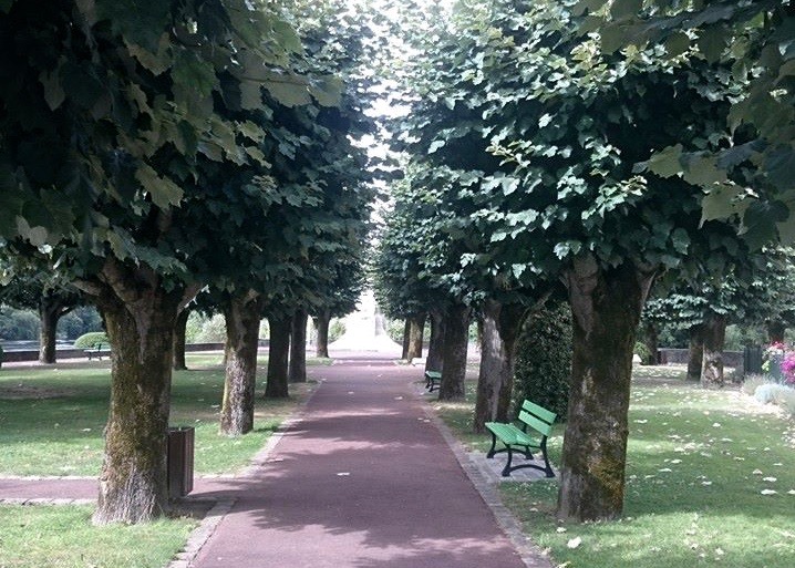 11180607_10153365339885743_8707249324966933861_n