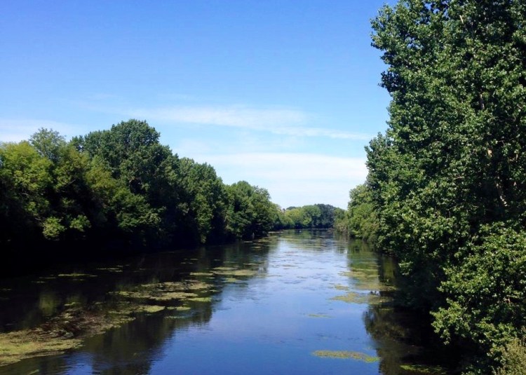 11753704_10152922666252687_8166477991881958590_n