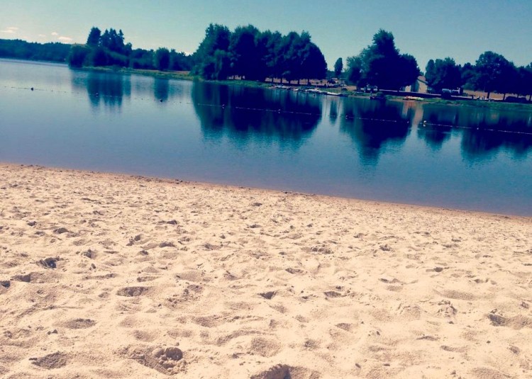 11796453_10152922668267687_8194390623878442515_n