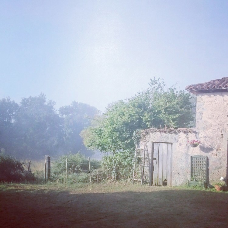 c84b94c1-8809-4273-b06c-411a1a4bfe8a