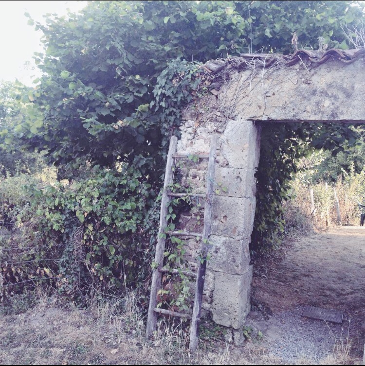 e0035228-b740-445e-937d-5bb833b2f36e