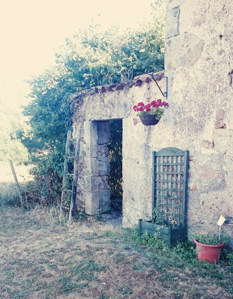 e32e4535-ba05-4316-9af5-163c7fab5d88