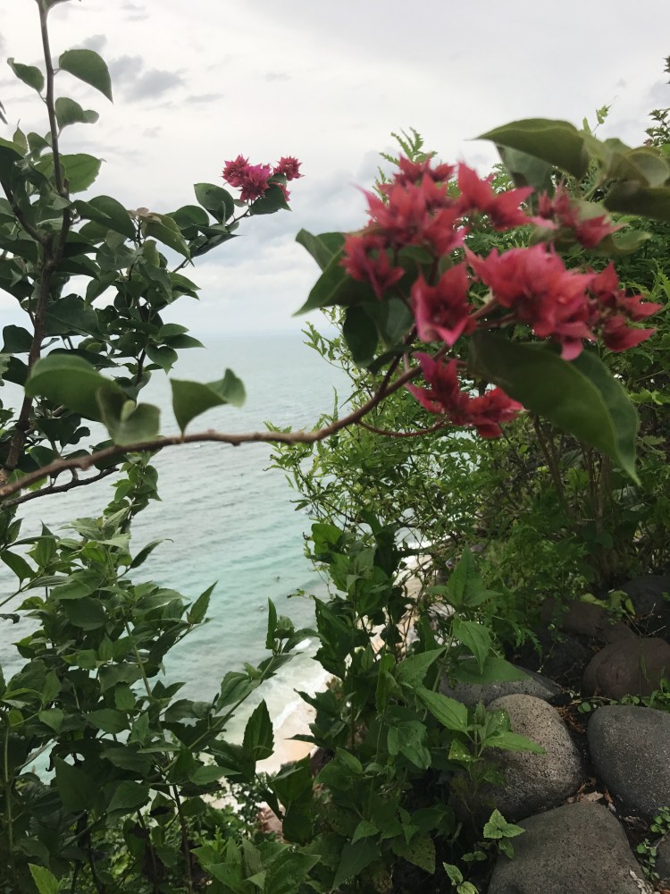 Processed with VSCO with a6 preset