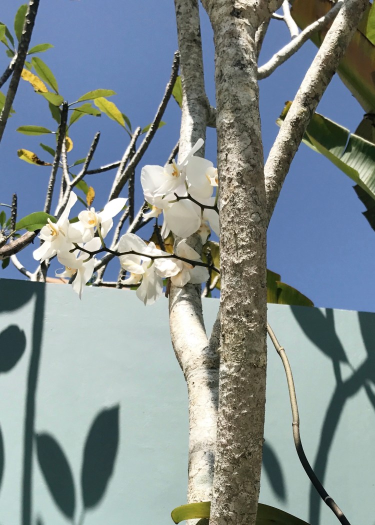 Processed with VSCO with a6 preset