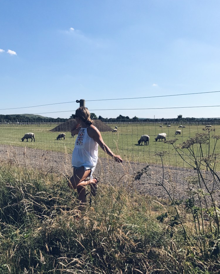 Processed with VSCO with a5 preset