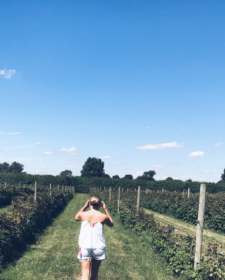 Processed with VSCO with a5 preset