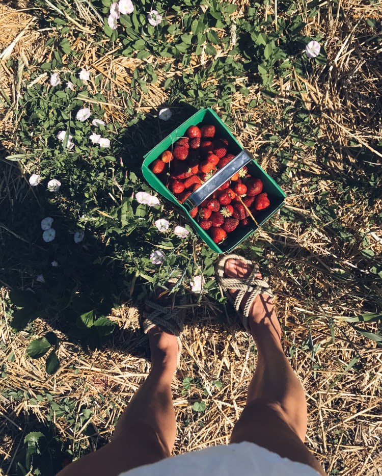 Processed with VSCO with a5 preset