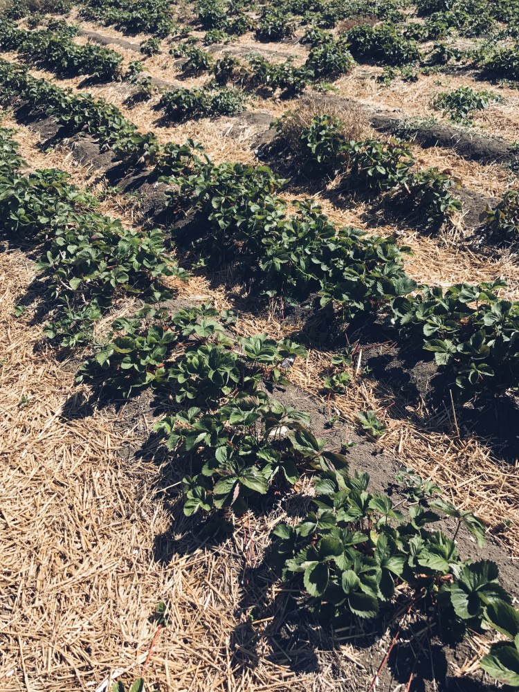 Processed with VSCO with a5 preset