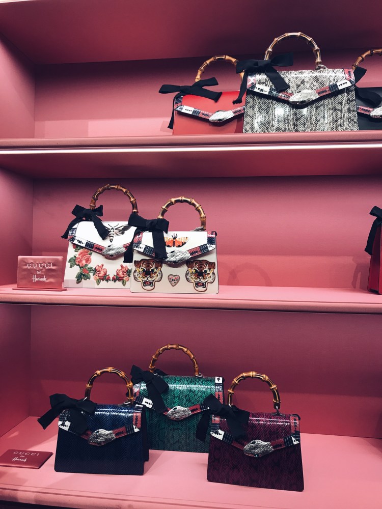 Processed with VSCO with a5 preset