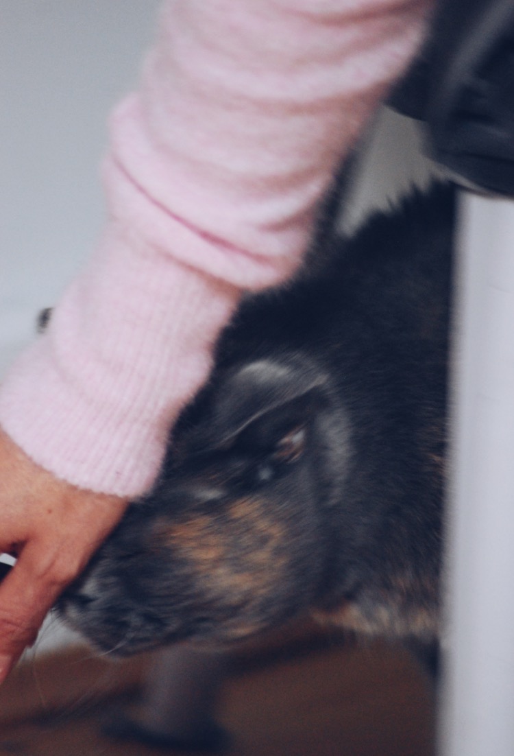 Processed with VSCO with a5 preset