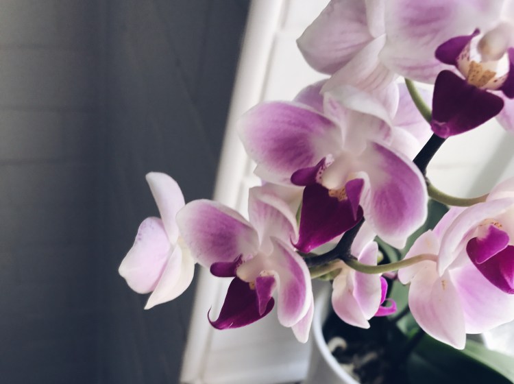 Processed with VSCO with a5 preset