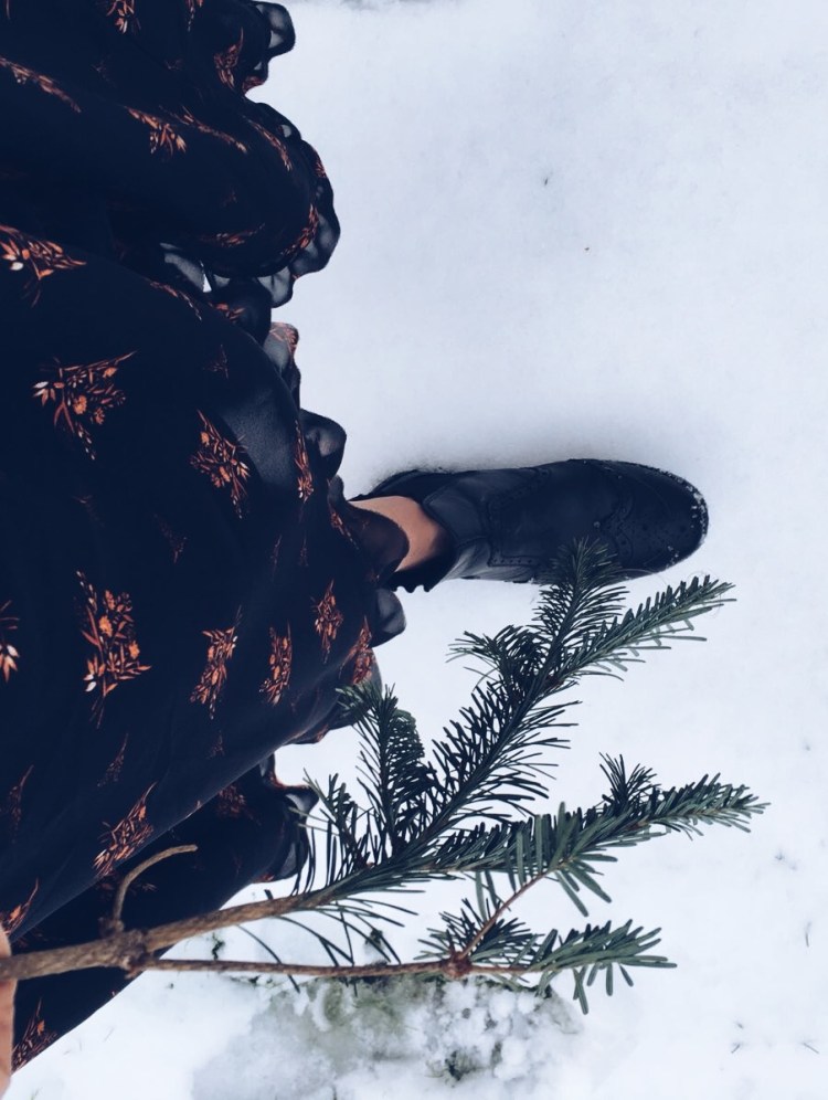 Processed with VSCO with a5 preset