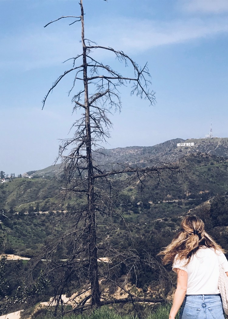 Processed with VSCO with a5 preset