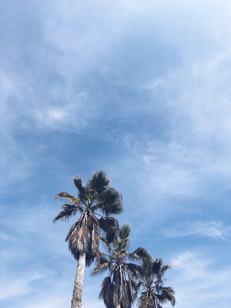 Processed with VSCO with a5 preset