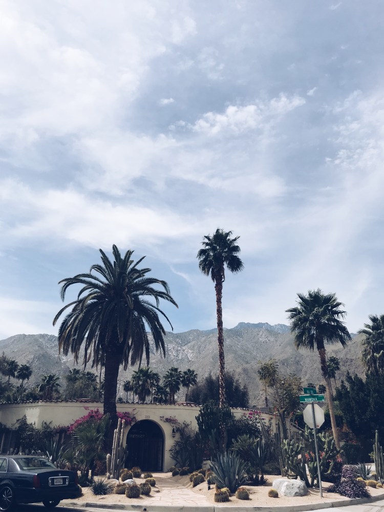 Processed with VSCO with a5 preset