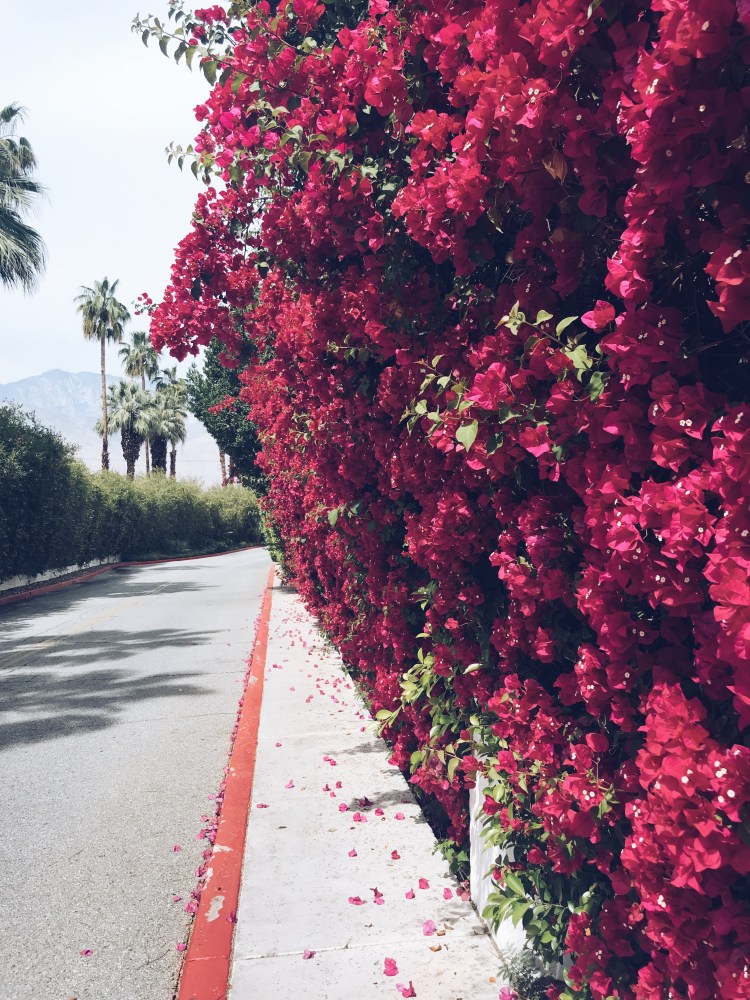 Processed with VSCO with a5 preset