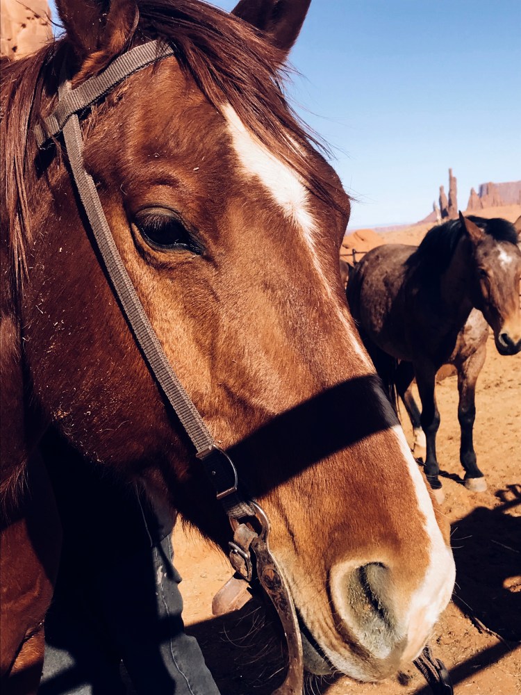 Processed with VSCO with a5 preset