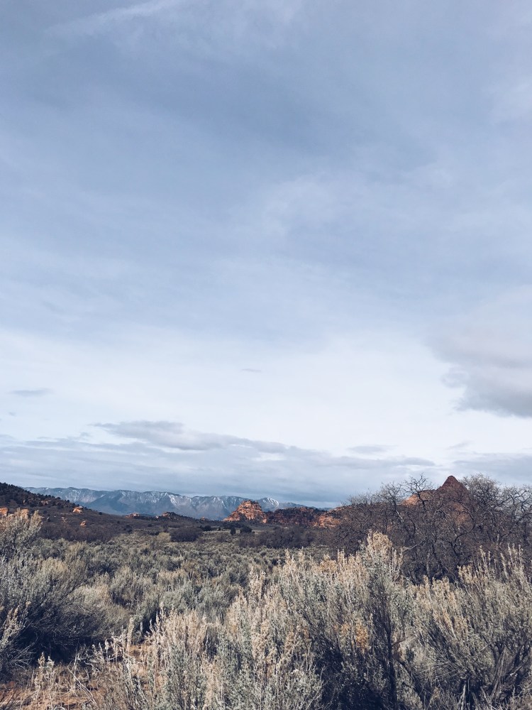 Processed with VSCO with a5 preset