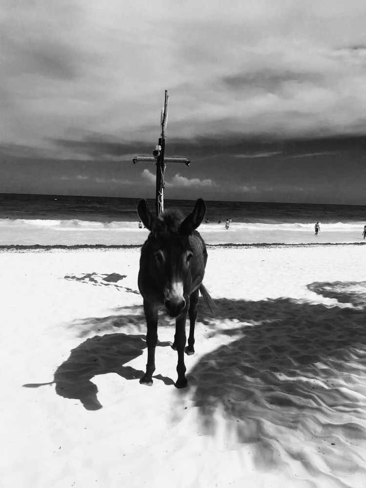 Processed with VSCO with a5 preset