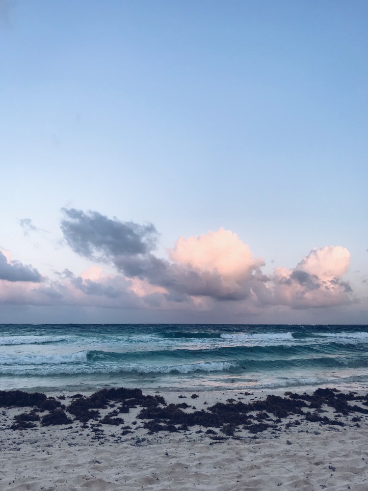 Processed with VSCO with a5 preset