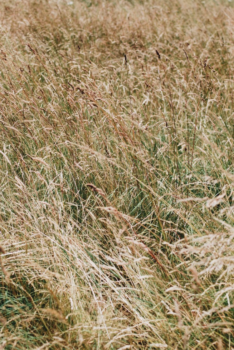 Processed with VSCO with a6 preset