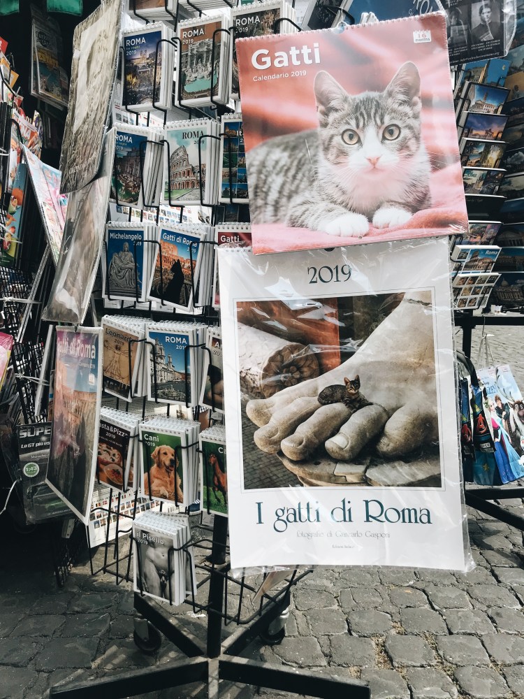 Processed with VSCO with a6 preset