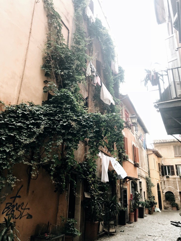 Processed with VSCO with a6 preset