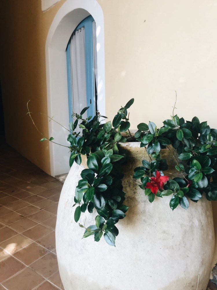 Processed with VSCO with a6 preset