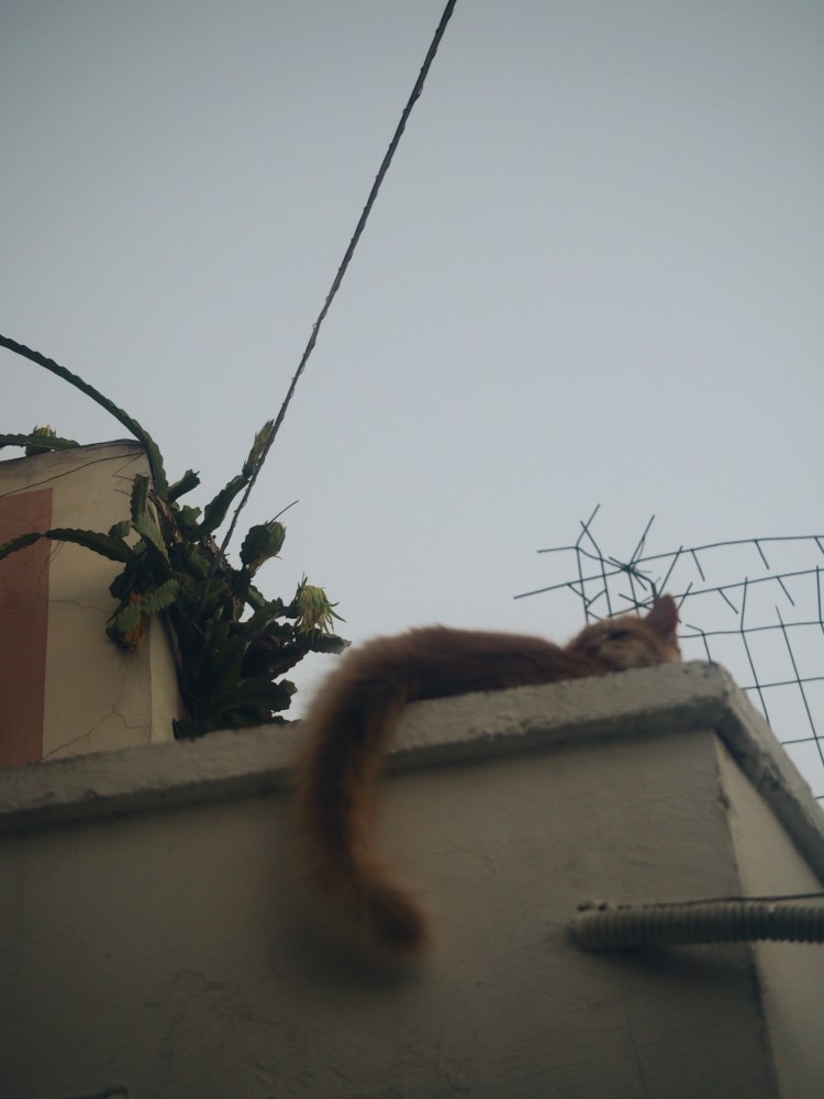 Processed with VSCO with a6 preset