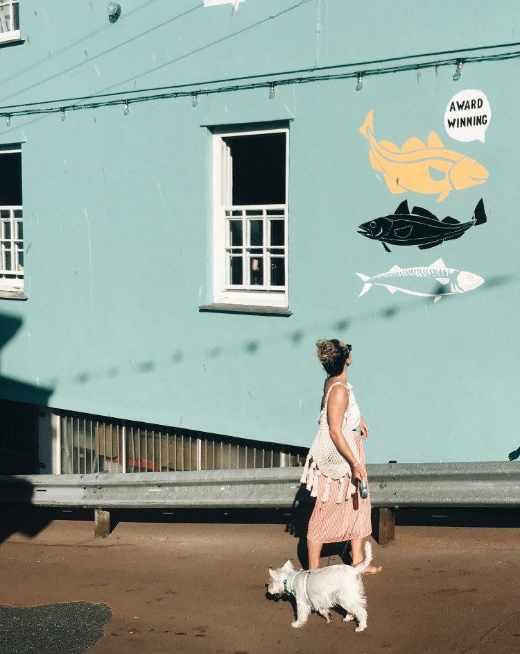 Processed with VSCO with a6 preset