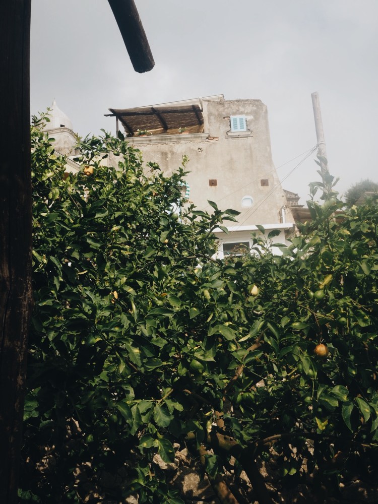 Processed with VSCO with a6 preset