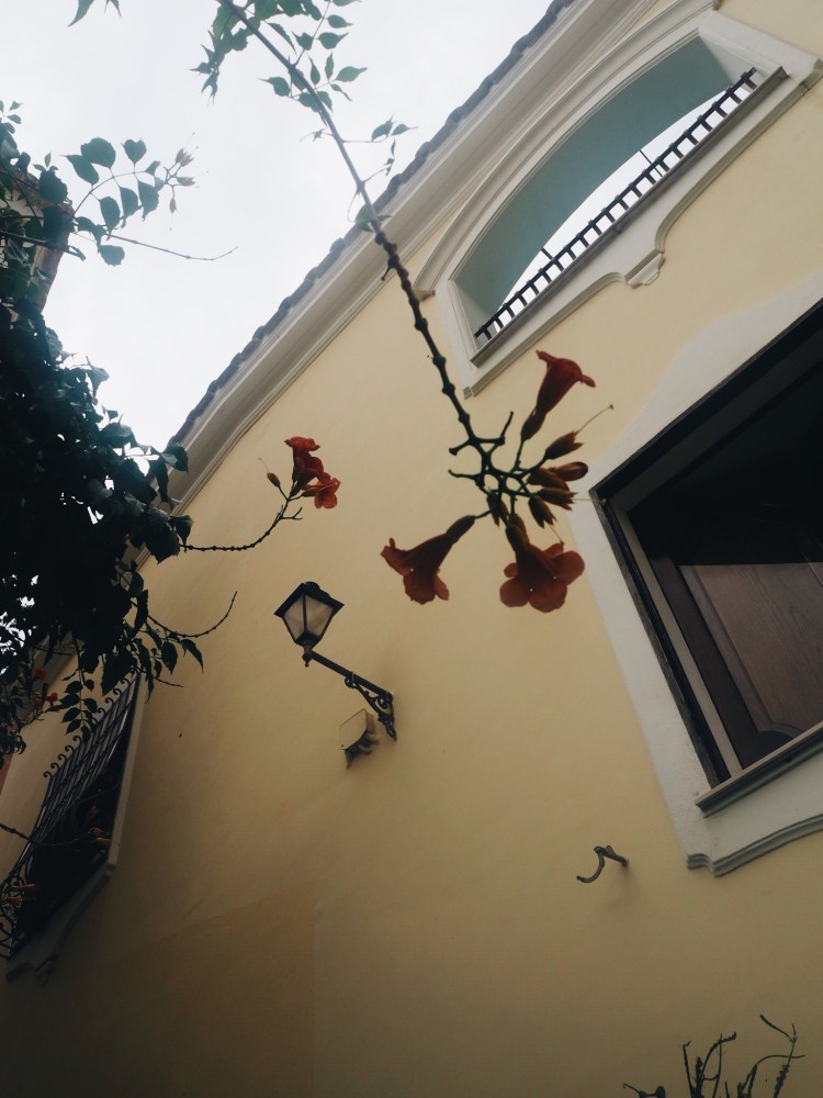 Processed with VSCO with a6 preset