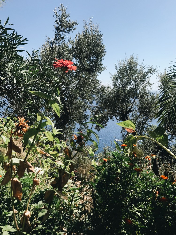 Processed with VSCO with a6 preset