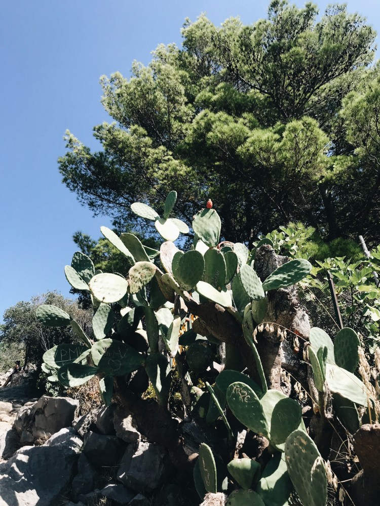 Processed with VSCO with a6 preset