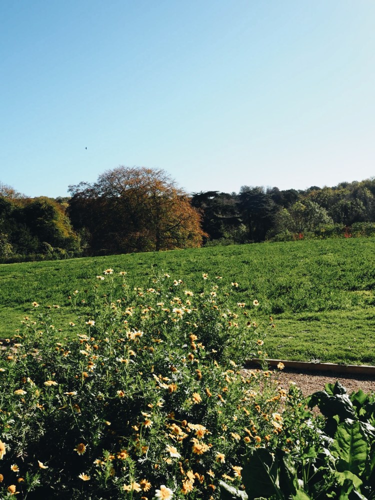 Processed with VSCO with a6 preset