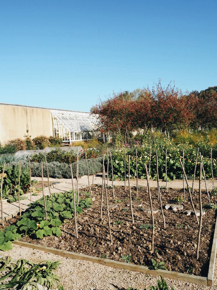 Processed with VSCO with a6 preset