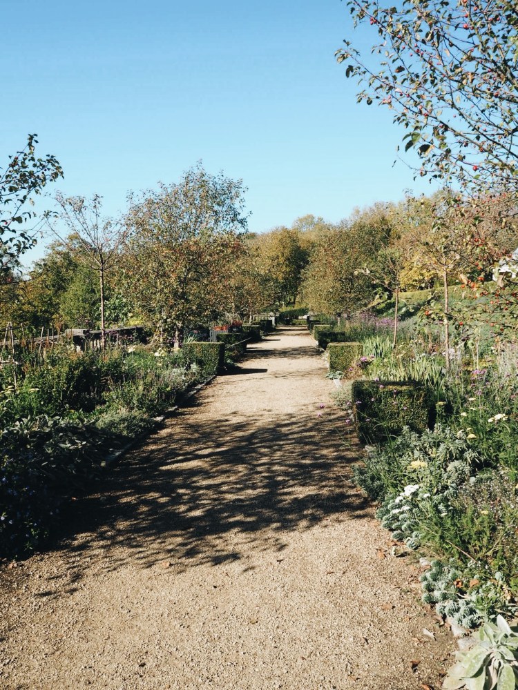 Processed with VSCO with a6 preset