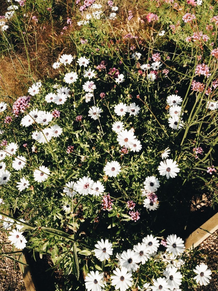 Processed with VSCO with a6 preset