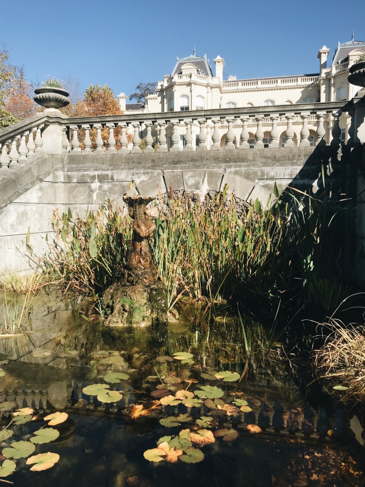 Processed with VSCO with a6 preset