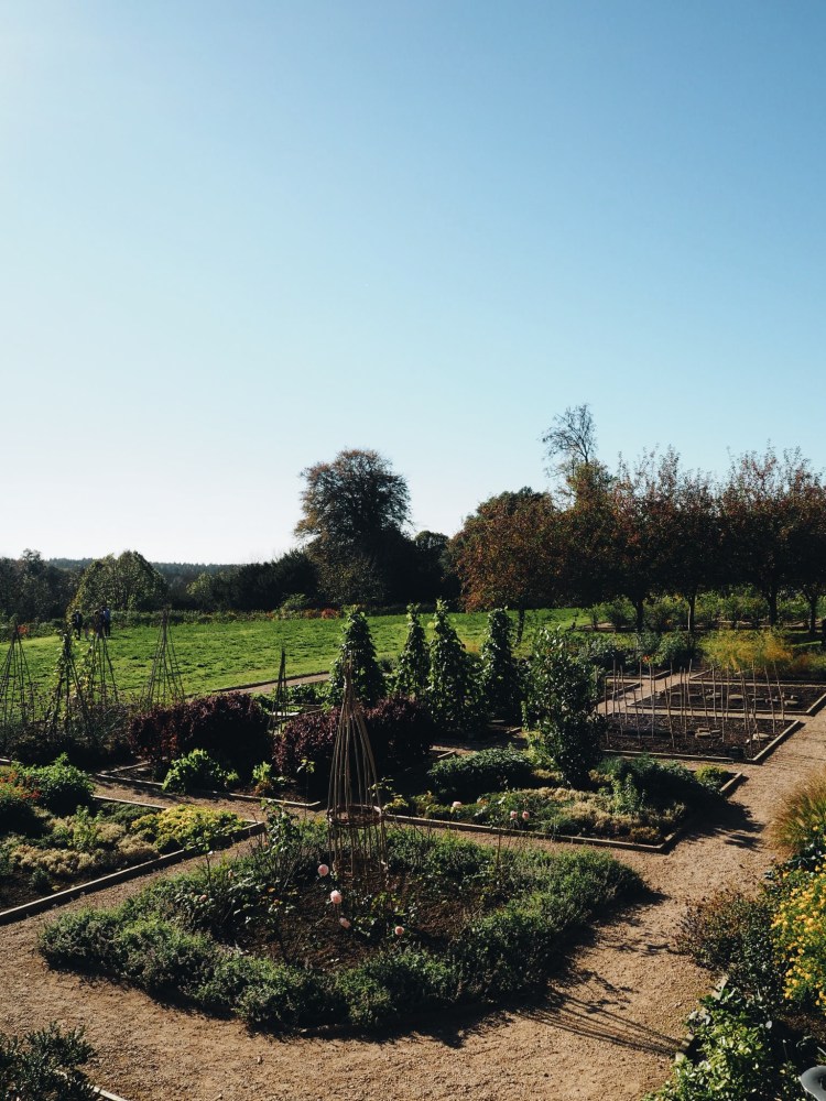 Processed with VSCO with a6 preset