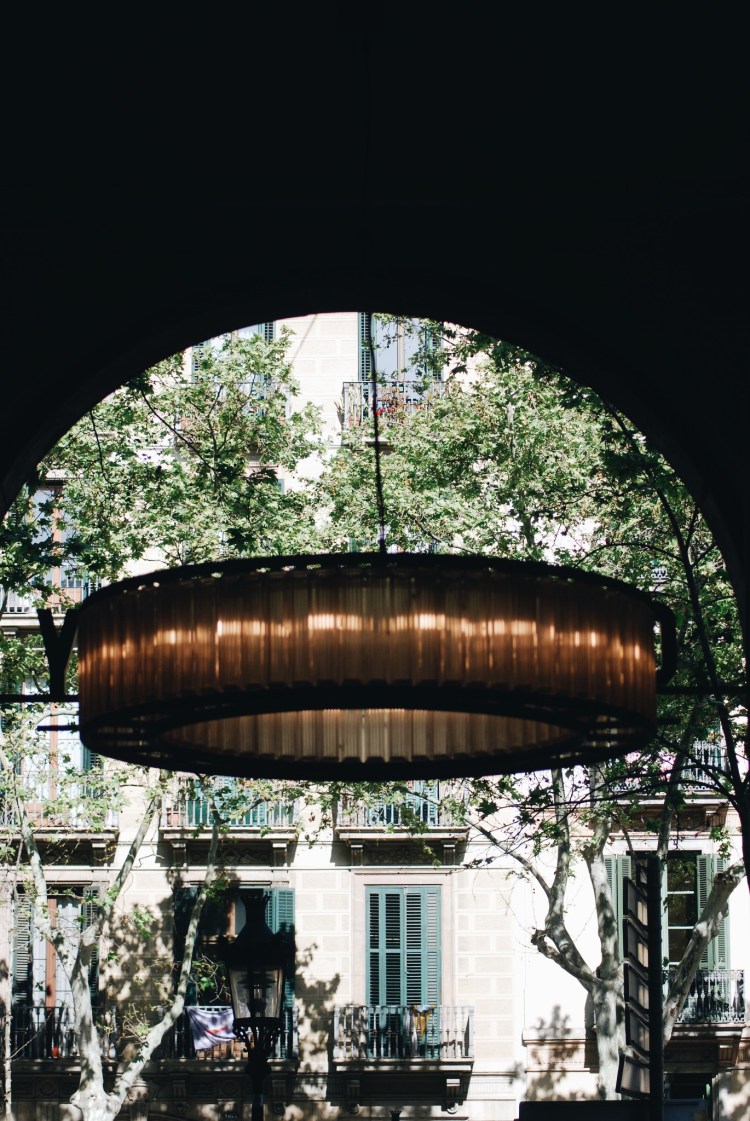 Processed with VSCO with a6 preset