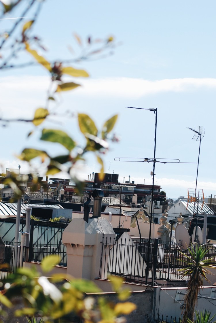 Processed with VSCO with a6 preset